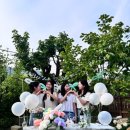 안대머리농가민박 이미지