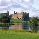 고대1124 이미지