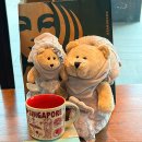 플레이스데어(Place there) | 싱가포르 스타벅스 테카플레이스 Tekka Placeㅣ시티컵 베어리스타 머라이언 인형 키링