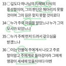 파라칼레오 이미지