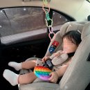 하슬라농장 | 아기랑 첫 국내여행 강릉 1박2일 만족스러웠던 여행코스 추천