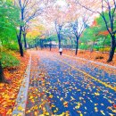 무학부동산공인중개사사무소 이미지