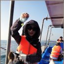 참가자미 이미지