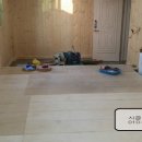 마루인터내셔날 이미지