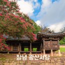 씨유어양프리미엄점 | 창녕 광산서당 배롱나무 개화 시기와 위치, 청주양씨 세고목판 이야기까지 총정리
