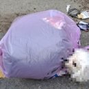 짱구네동물병원 이미지