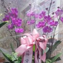 삼송월드24시불한증막 이미지