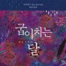 시노안 이미지
