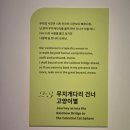 pet60로3129 | 서울 종로⎮국립민속박물관 ❝요물, 우리를 홀린 고양이 기획전❞ 🏃🏻‍♂️뚜벅이 관람후기