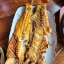 생이소리 이미지