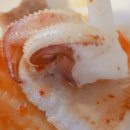 수림회포차