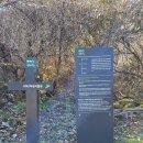 해안면사무소 이미지