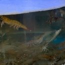 덕흥마트 이미지