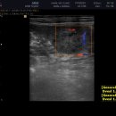 탕정동물의료센터 이미지