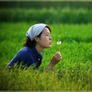 동삼1동-7 이미지