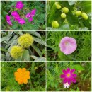 헤이리길 이미지