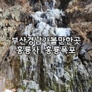 홍룡폭포(홍룡사) | [양산 홍룡사 홍룡폭포]부산경남아이와가볼만한곳 얼음폭포절경 실시간다녀온후기