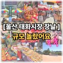 태화종합시장 | [태화시장 장날 + 태화루 스카이워크] 울산 오일장 규모 이렇게 큰 줄 몰랐습니다