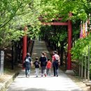 배고개(이치) 이미지