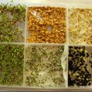 굿닥터동물병원 이미지