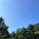 할매야영장 이미지