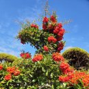 한국관유스호스텔 이미지