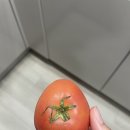 과일24 이미지