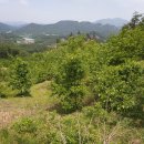 감골농장 이미지