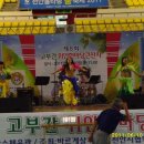 레드폭스 이미지