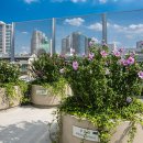 하늘정원 이미지