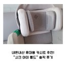 내돈내산 휴대용 카시트 추천! "시크 아이 폴드" 솔직 후기