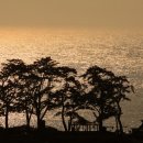 현기목장 이미지