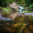 숲과계곡속으로 이미지