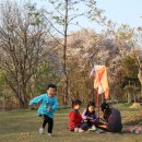 유식물원 관광농원 | 5월 아이랑 갈만한 캠핑장 리스트