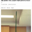 식물원1982