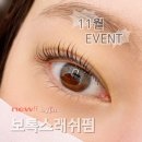 래쉬바이진