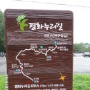 평화1리 이미지