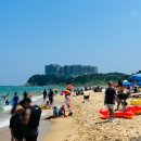 아이러브피자 조양점 이미지