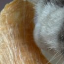 (주)페슬러 이미지