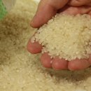 농부의꿈 | 농라 거창농부의꿈 햅쌀 고시히까리 백미