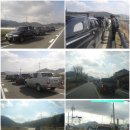 완도22호 이미지