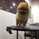 살롱드레오 이미지