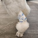 다란동물병원 이미지