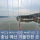 예당호 수변음악회 | 충남 예산 가볼만한곳 예당호 출렁다리 등 여행코스