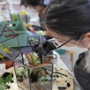 한방약선차 이미지