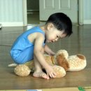 멍멍타요 이미지