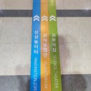 성균관숲유치원 | 서울 종로 국립 어린이과학관 과학체험 로봇체험 후기