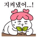 엘피카페소리 - 전주시 덕진구 | 엘피카페소리