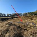 상거리마을회관 이미지