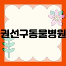 초록동물병원 이미지